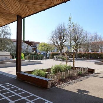 Cour d'école végétalisée
