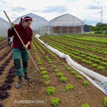 Visite du canton Nord Toulois